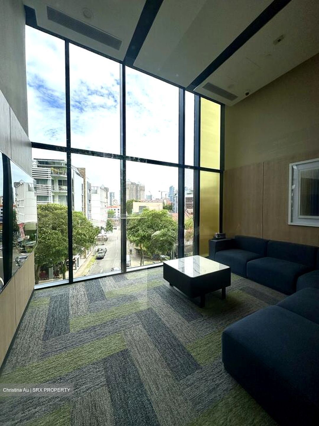 Piccadilly Grand (D8), Apartment #496696171